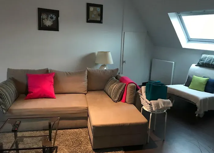 Appartement Avec Garage Colmar Centre Historique
