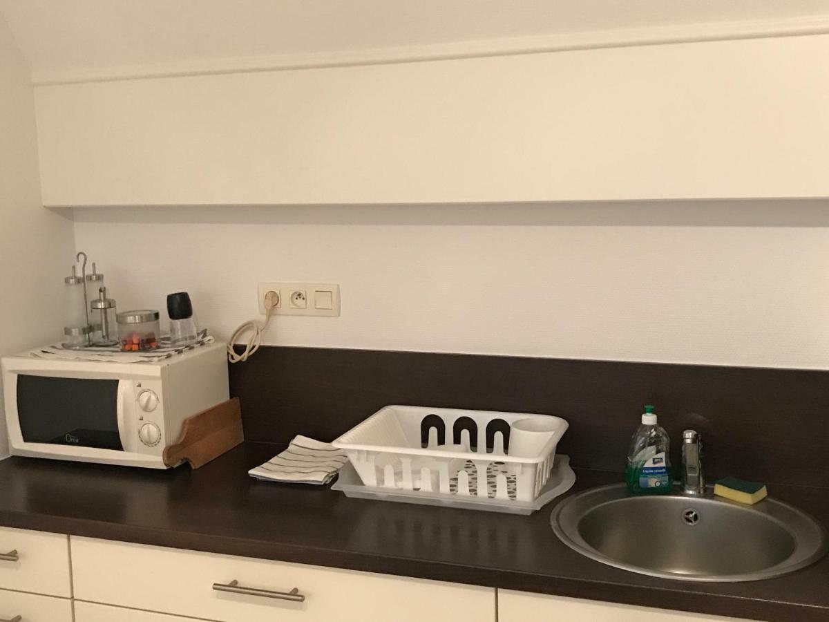 Appartement Avec Garage Centre Historique Colmar